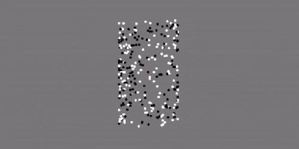 pupil response to an optical illusion tied to autistic traits the