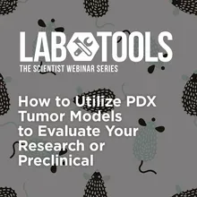 How to Utilize PDX Tumor Models to Evaluate Your Research or ...