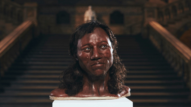 reconstruction of Cheddar Man's head