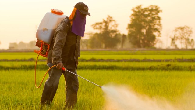 Glyphosate