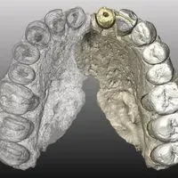 Nakapithecus Jawbone Fossil Suggests Humans Left Africa Earlier than Previously ...