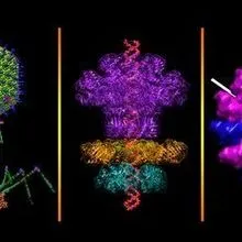 Virus Rocketship Image of the Day: Virus Spacecraft | The Scientist
