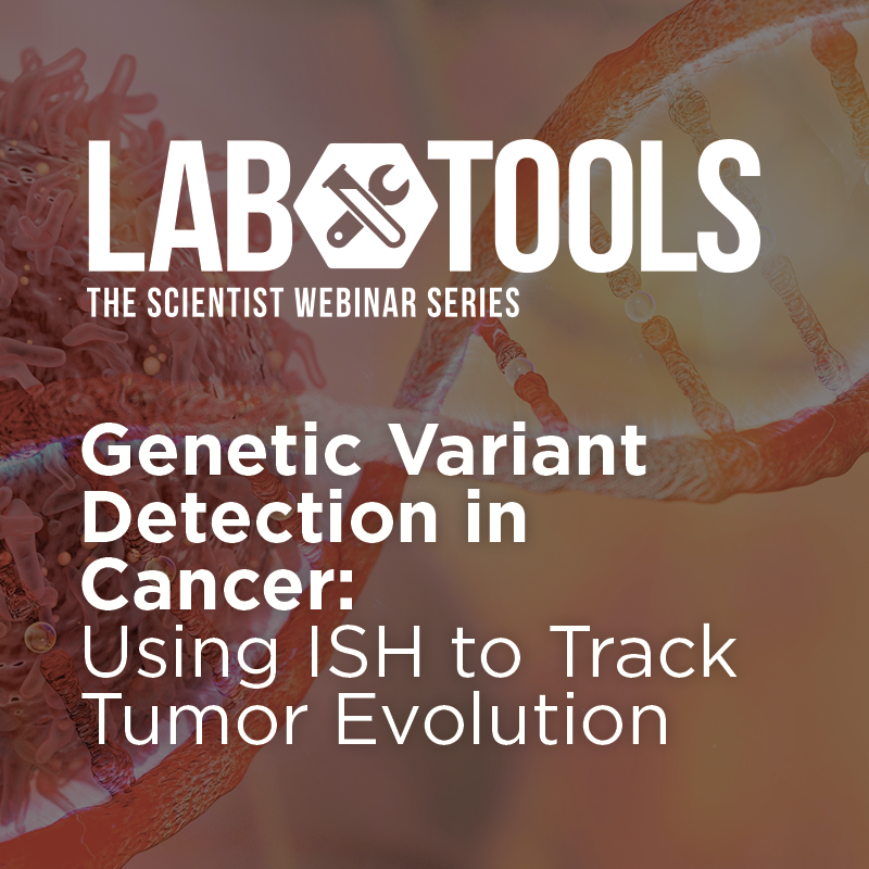 genetic-variant-detection-in-cancer-using-ish-to-track-tumor-evolution