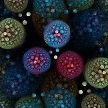 Microbe Math Opinion: Microbiology Needs More Math | The Scientist