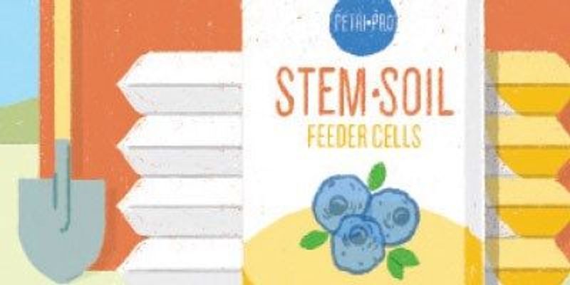 Easier Ways To Grow Stem Cells The Scientist Magazine