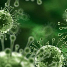 Mammalian Immunity: What’s RNAi Got to Do with It? Mammalian Immunity: What’s RNAi Got to Do with It?