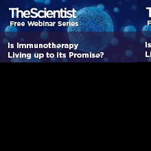 Is Immunotherapy Living Up to Its Promise?