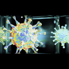 Beckman: Viral Preparation & Purification Beckman: Viral Preparation & Purification