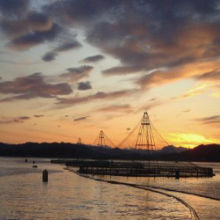 Does Farming Drive Fish Disease? Does Farming Drive Fish Disease?