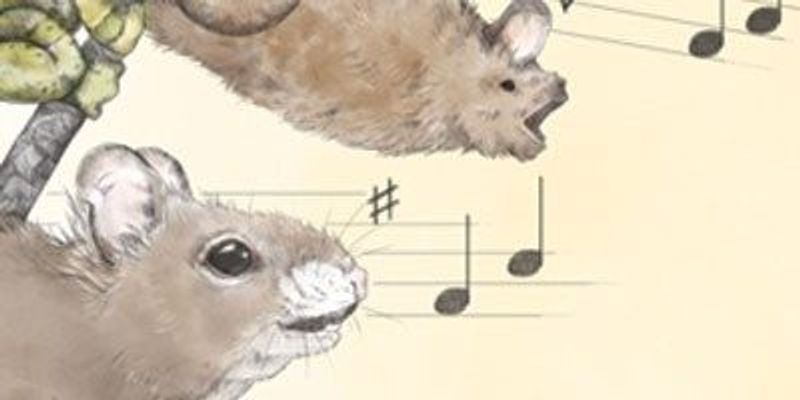 Song Around the Animal Kingdom | The Scientist Magazine®