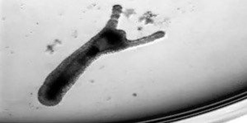 new 1s that came out today