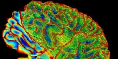 Retrieving Short-Term Memories | The Scientist