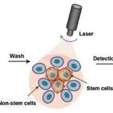 Raman Spectroscopy | The Scientist