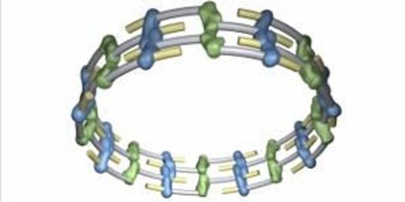 Video: Inner Circle | The Scientist Magazine®