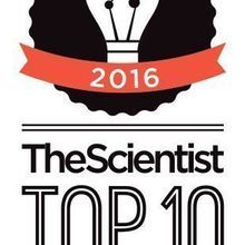 Top 10 Innovations 2016 Top 10 Innovations 2016