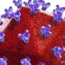 Broadly Neutralizing Antibodies In Hiv Patients The Scientist
