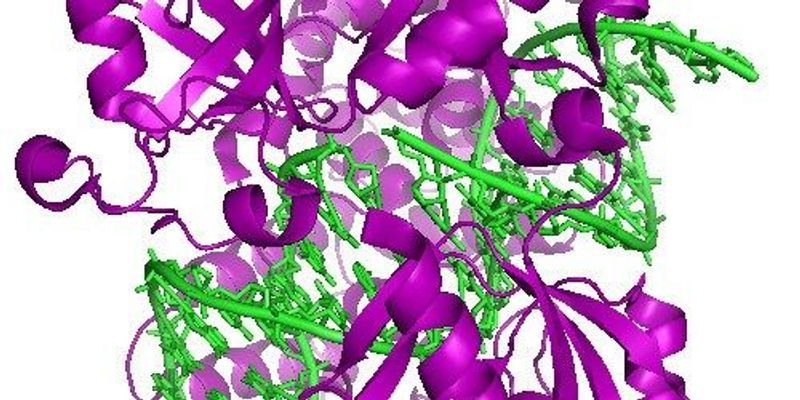 CRISPR: No Cutting Required