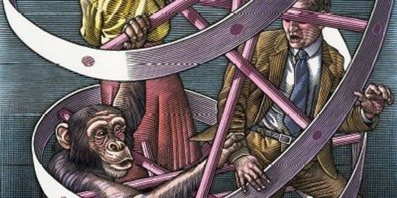the scientist magazine