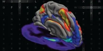 How Dopamine Tunes Working Memory | The Scientist