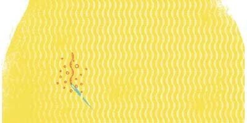 Noncoding RNAs Not So Noncoding