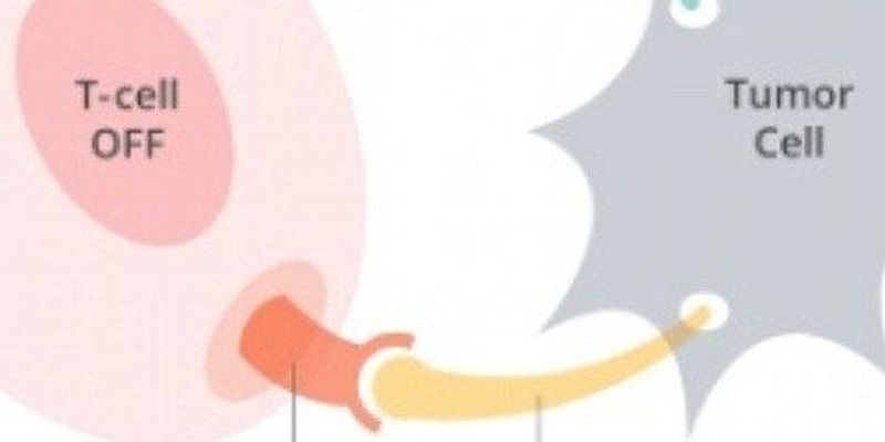 CAR T Cells: Engineering Patients’ Immune Cells to Treat Their Cancers visual data 5