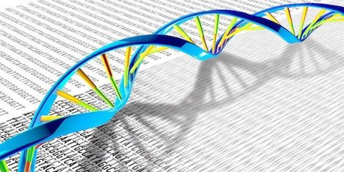 Genetic Resilience | The Scientist