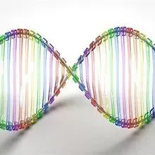 Biological Programming | The Scientist