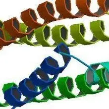 Another Role for ApoE? | The Scientist