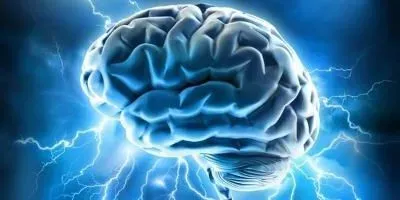 European Brain Project Extended | The Scientist