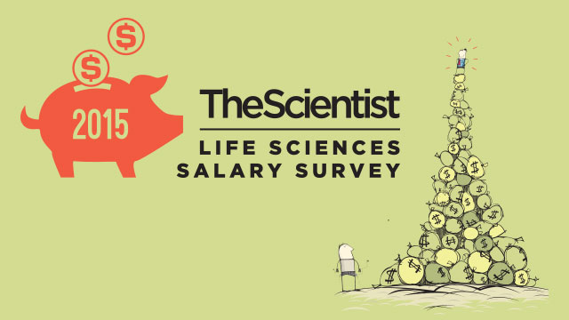 2015 Life Sciences Salary Survey The Scientist Magazine