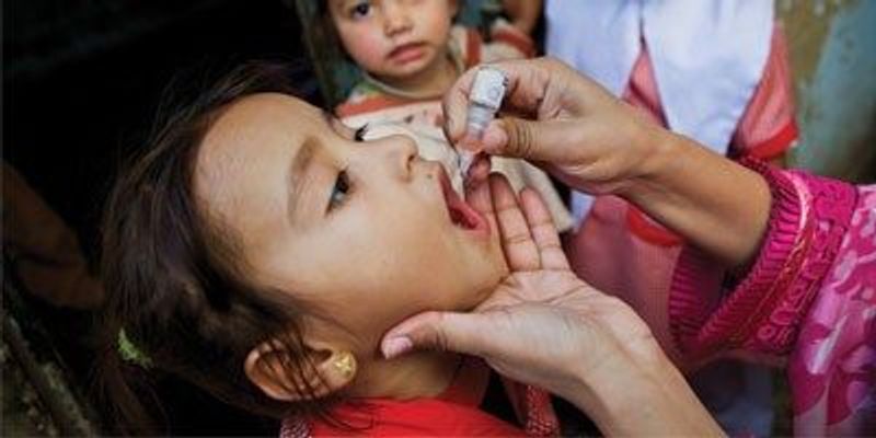 Driven to Extinction