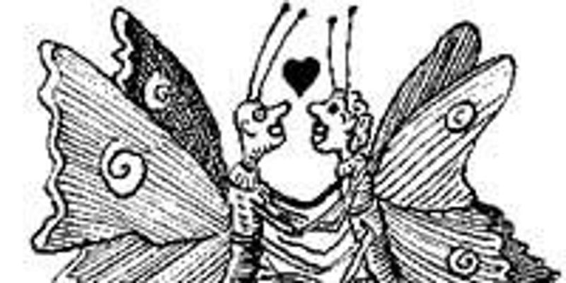 Type Of Large Moth Crossword
