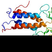 <em>BRCA</em> Mutations Mapped <em>BRCA</em> Mutations Mapped