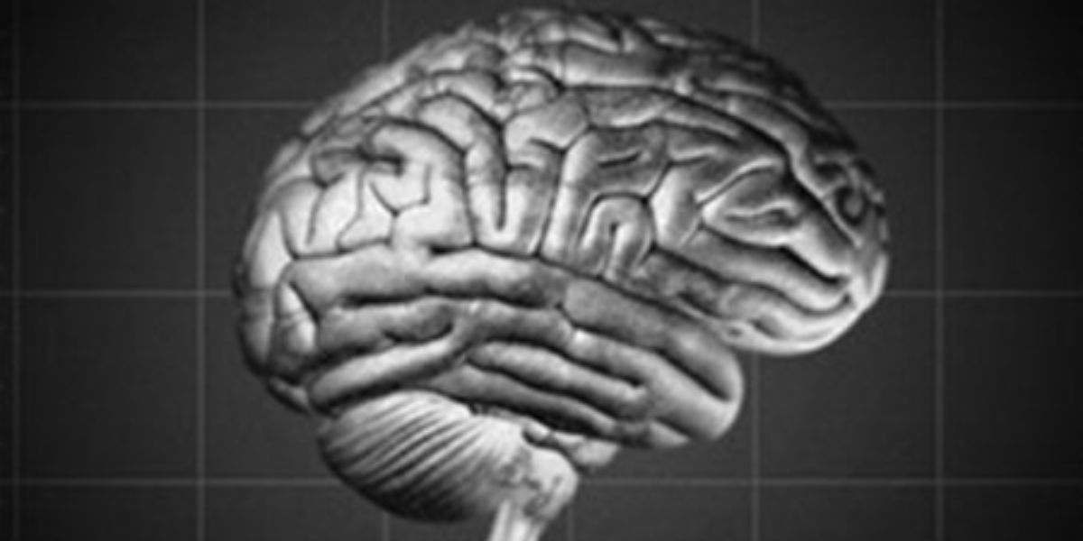 Is Vasopressin Whats Lacking In Brains >> Oxytocin For Autism The Scientist Magazine Is Vasopressin Whats Lacking In Brains >> Oxytocin For Autism The Scientist Magazine