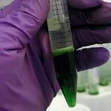 DNA Extraction Kits Contaminated | The Scientist