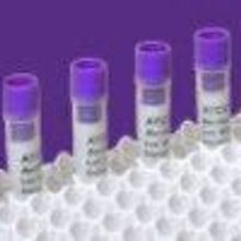 Single-use QC Standards Single-use QC Standards