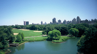 Soil Microbiome of Central Park | The Scientist Magazine®