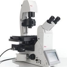 Leica DMi8 Inverted Microscope Leica DMi8 Inverted Microscope