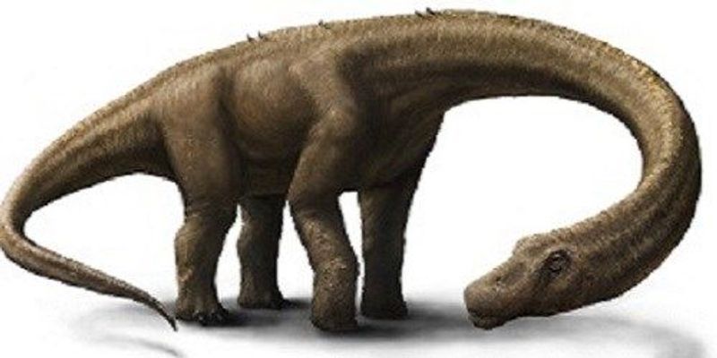 Humongous Herbivorous Dinosaur The Scientist Magazine 