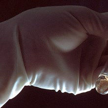 Haste Caused CDC Bird Flu Contamination? Haste Caused CDC Bird Flu Contamination?