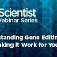 Understanding Gene Editing and Making It Work for You Understanding Gene Editing and Making It Work for You