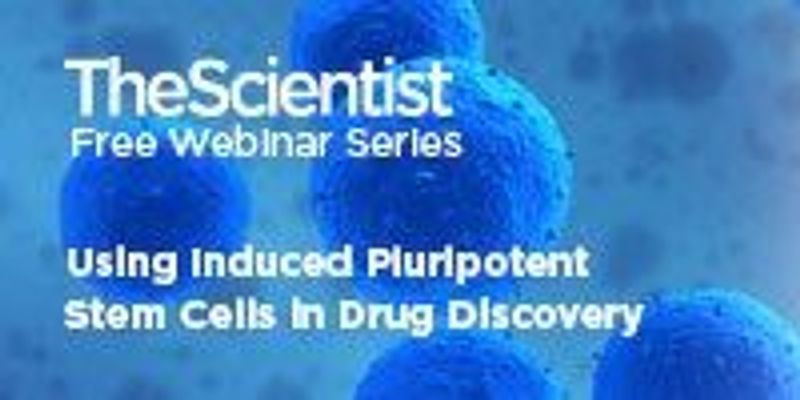 Using Induced Pluripotent Stem Cells in Drug Discovery | The Scientist