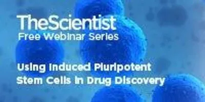 Using Induced Pluripotent Stem Cells in Drug Discovery | The Scientist