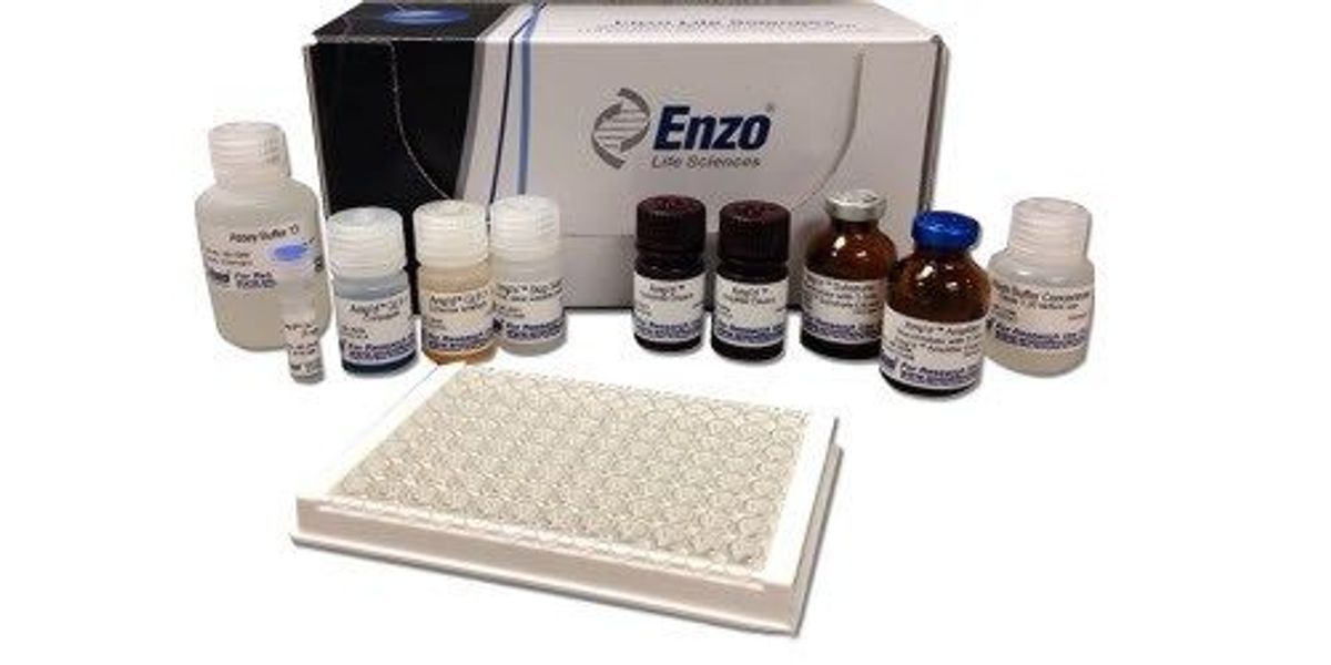 glp 1 assay kit Amp'd™ GLP-1 ELISA Kit
