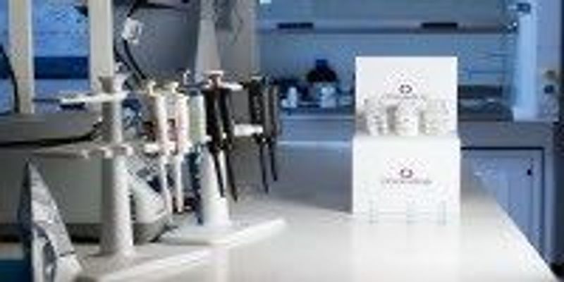 Chromatrap solid state ChIP assay | The Scientist