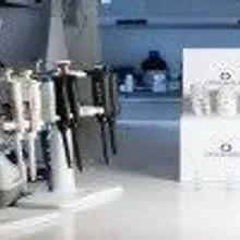 Chromatrap solid state ChIP assay | The Scientist