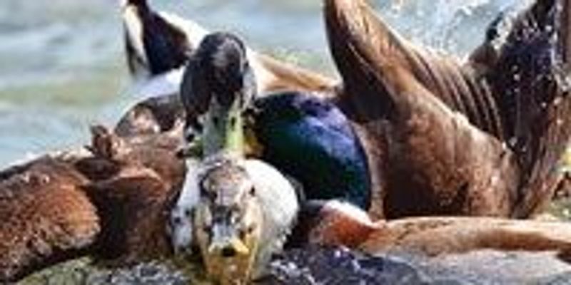 the hidden truth about sex hdef no one dares to reveal