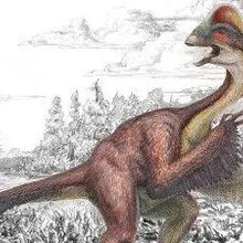 Prehistoric Chicken Terror | The Scientist
