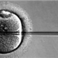 UK To Legalize Three-Parent IVF? UK To Legalize Three-Parent IVF?