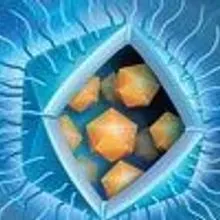 The Scientist Magazine Issue | March 2014 | The Origin of Life | The ...